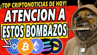 🚨 DESCUBRE QUE HA PASADO HOY 😱 Noticias Criptomonedas | Cardano | Solana | Polkadot | Bitcoin