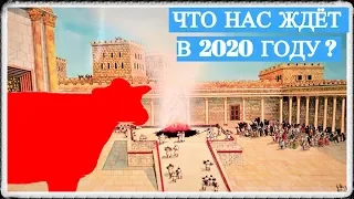 Что нас ждёт в 2020 году?