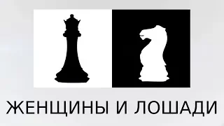 Женщины и лошади - беседа с лошадницей | анималистика, психология, мистика и реалии конного спорта