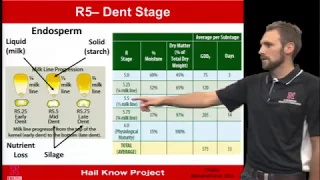 Hail Damage Evaluation and Management in Corn