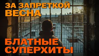 За запреткой весна - БЛАТНЫЕ СУПЕРХИТЫ #блатняк #блатнойудар  @blatnoe_radio