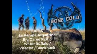 S10 E5: Black Buck,  La Pampa Argentina Part 3. Giant Water Buffalo, lots of Viscacha, and Blackbuck