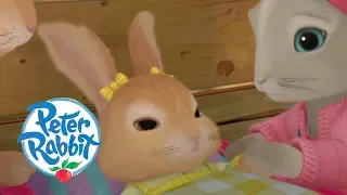 Peter Rabbit - Cottontail's Lullaby | Cartoons for Kids
