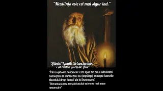 Sfântul Ignatie Briancianinov - al doilea Gură de Aur.