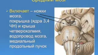 Неврологический статус в интенсивной терапии