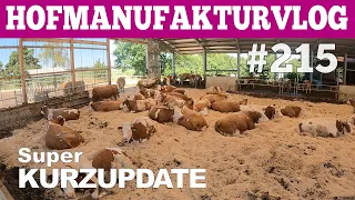 VLOG#215 Kurzupdate  Hofmolkerei Farmvlog