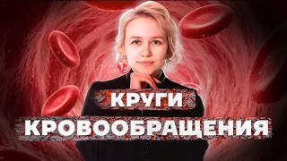 Как легко запомнить КРУГИ КРОВООБРАЩЕНИЯ человека | Биология ОГЭ 2023 | Умскул