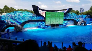 SeaWorld Shamu Show 2018