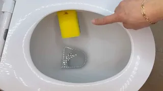 Put a sponge in the toilet: see what happens!  😲