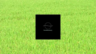 Windswept Fields: Calming Sounds to Aid Sleep and Enhance Focus