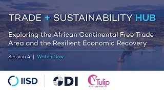 Webinar | Exploring the African Continental Free Trade Area and the Resilient Economic Recovery