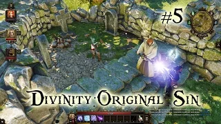 Divinity: Original Sin Кооператив [#5 Расхитители гробниц]