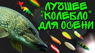 Лучшие колеблющиеся блёсны для ловли щуки осенью