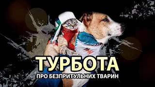 БЕЗПРИТУЛЬНІ ТВАРИНИ | Поділіться теплом взимку | Як зимують тварини - цікаві факти