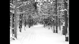 Eric Whitacre, Robert Frost - Stopping by Woods on a Snowy Evening (Sleep)