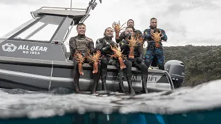 Monster Crayfish in New Zealand