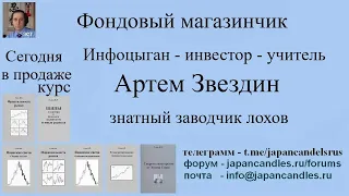 2022 12 13 инфоцыган Звездин