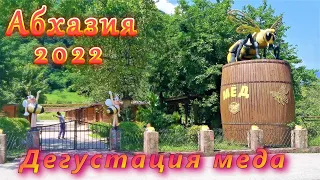 Абхазия 2022/  Путешествие на озеро Рица/  Дегустация меда и не только