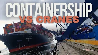 YM Witness Damages Four Container Cranes While Docking in Turkey