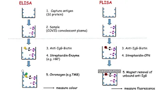 A novel ultrasensitive Fluorescence Linked Immunosorbent Assay (FLISA)