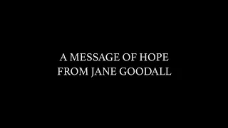 A MESSAGE OF HOPE FROM DR. GOODALL in the face of COVID-19