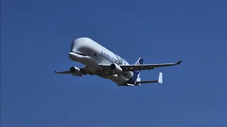 RIAT 2022 Airbus Beluga XL