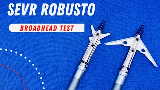 SEVR ROBUSTO 150 gr (for Crossbows & Compounds) Broadhead Test--Best Scoring Head So Far in 2022
