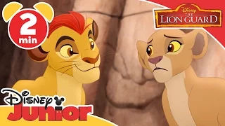 The Lion Guard | Can't Wait to Be Queen | Disney Junior UK