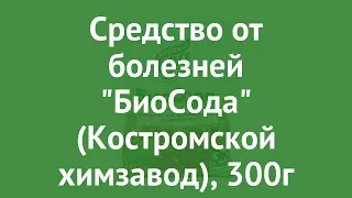 Средство от болезней БиоСода (Костромской химзавод), 300г обзор БХ4156