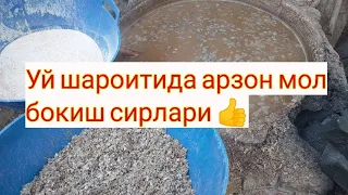 Уй шароитида арзон ва фойдали мол бокиш сирлари👍👍