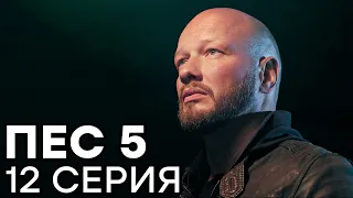 Сериал ПЕС - 5 сезон - 12 серия - ВСЕ СЕРИИ смотреть онлайн | СЕРИАЛЫ ICTV