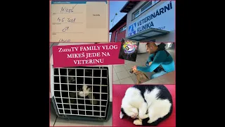 ZuzuTV FAMILY VLOG - MIKEŠ jede na veterinu 😺