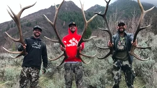 Chad Mendes Finding Big Elk Sheds in Utah!!| Day 2 Shedicated tour