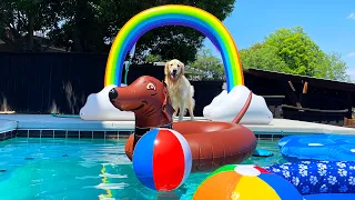 FIRST DOG POOL PARTY OF 2021!