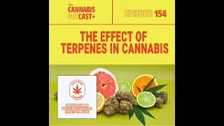 The effects of terpenes in cannabis