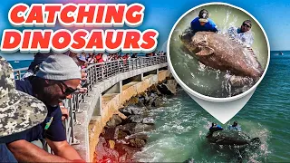 Catching MASSIVE Goliath Grouper From The Pier!