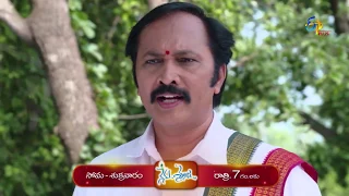 Nenu Sailaja | Promo | 20th November 2019 | ETV Plus