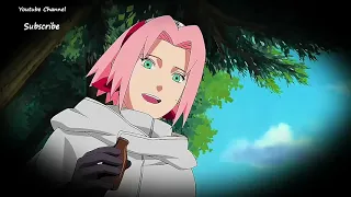 Karin Uzumaki Conoce A Naruto Y Se Asusta De Su Chakra Oscuro   Naruto Shippuden   Sub Español