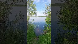 На озере Ольшанские Карьеры смоляне загорают, купаются, отдыхзают. #природа