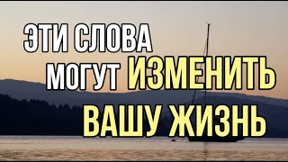 цитаты великих людей часть 1 Читатет Петр Каледин