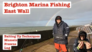 Brighton Marina East Wall Species Hunt