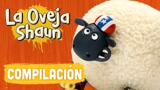 Compilación 3 horas - Temporada 4 - La Oveja Shaun