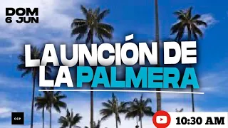 LA UNCIÓN DE LA PALMERA 🌴 | Arlés Vanegas | Domingo 10:30 AM  | 06 Junio 2021