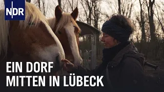 Sozialer Treffpunkt: Roter Hahn – ein Dorf in Lübeck | Die Nordreportage | NDR Doku