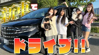 【新車紹介】新しい車が来たから家族でドライブしながら質問コーナーします！