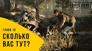 Сколько вас тут? ↑ Days Gone #10 (Полное прохождение на русском)