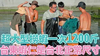 台東海水養白蝦一次1200斤生猛底迪激情逮蝦！大面「肌」紅布條高規迎接！可惡讓委員看看～