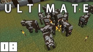 Minecraft Mods FTB Ultimate - SOUL SHARDS !!! [E08] (HermitCraft Modded Server)