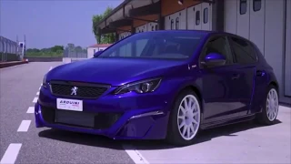 Peugeot 308 RC Arduini Corse - DLEDMV / De l'essence dans mes veines