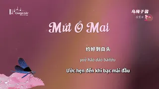 [Vietsub] Mứt Ô Mai (乌梅子酱) - Lý Vinh Hạo (李荣浩) - Hot Douyin